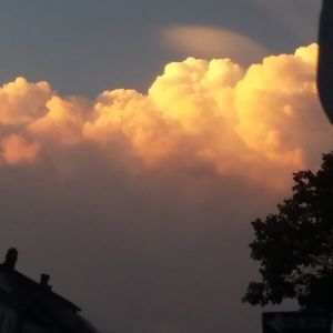 Meet your Posher, Logan